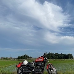 最終値下！ハーレー  883R 2006年モデル　キャブ車　オレンジの画像
