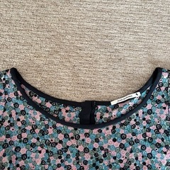 ミナペルホネン  スカイフル　ブラウスの画像