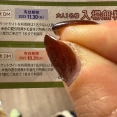 ファンタジーキッズリゾート　大人一名無料券