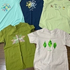 ⭐️受け渡し決定⭐️モンベル レディースTシャツ5枚