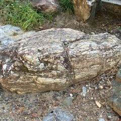 庭石②