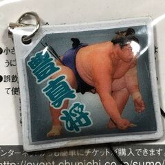 平成22年 大相撲名古屋場所 ストラップ ①