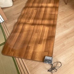 アイリスオーヤマホットカーペットの画像