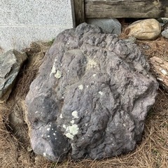 庭石①の画像
