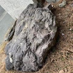庭石①の画像