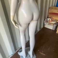 マネキン　トルソーの画像
