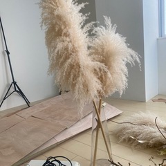 ドライフラワーの飾りやブーケの画像