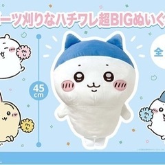 ちいかわ　ハチワレ　スポーツ刈りぬいぐるみ　新品未使用　プライズ品