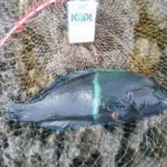 釣りメンバー募集 - 中頭郡