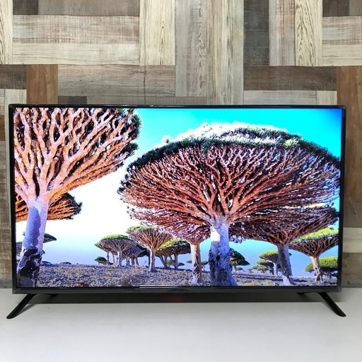 即日受渡❣️新品同様40型HDDディスク内蔵Wチューナー21500円