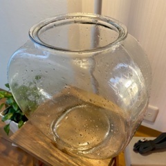 金魚鉢　ガラス製　メダカの画像