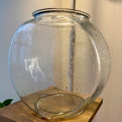 金魚鉢　ガラス製　メダカの画像