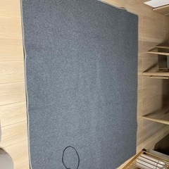 受け渡し者決定。ニトリ三畳用ホットカーペット