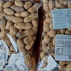 落花生2023の画像