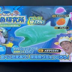 さかなクンの深海魚研究所 メガマウスザメとなかまたちの画像