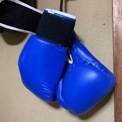 ☆ボクシンググローブ🥊(美品)