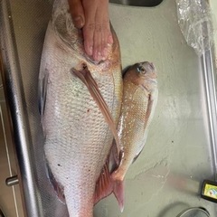 子供用品 ベビー用品 ベビーラック、ベビーチェア