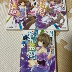 値下げしました！男子高校生で売れっ子ライトノベル作家をしているけ...