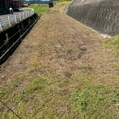 草刈り　雑木の伐採　承ります - 地元のお店