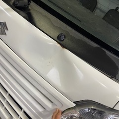 キャリーの画像