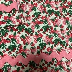 約束中最終値下げ　 ジェシースティールランチョンマット 二枚セットの画像