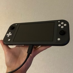 Switch Lite グレー