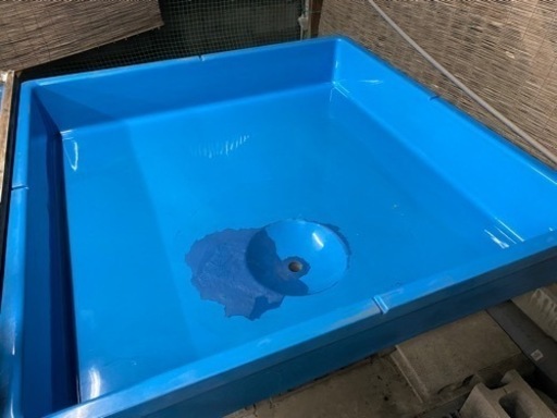 らんちゅうトーワケミカル水槽