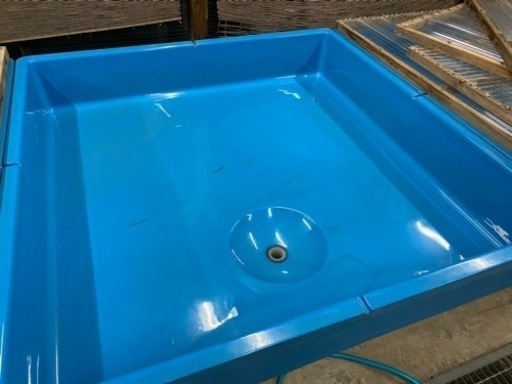 らんちゅうトーワケミカル水槽