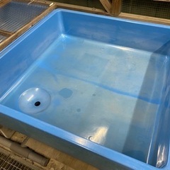 らんちゅうFRP工房福井水槽の画像