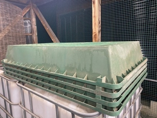 らんちゅうリス社プラ舟220水槽