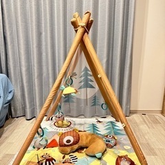 ベビージム　子供 テント 新生児 マット キャンピング アクティ...