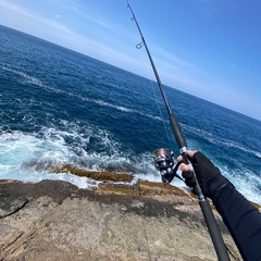 釣り仲間募集