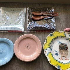 お皿セット
