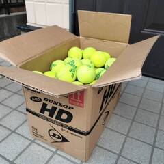 中古】硬式テニスボール約80個　譲ります！