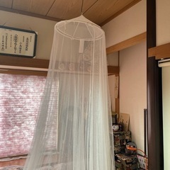 ベット　カーテン