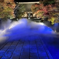 値下げ　京都　仁和寺雲海ライトアップと特別拝観券の画像