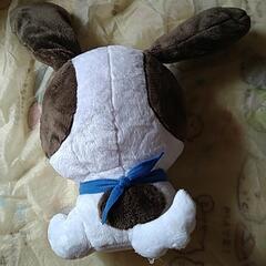 新品　キャバリア　4ぬいぐるみ　たれみみよんひきシリーズ　1　トライカラーの画像