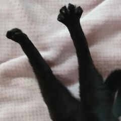 [終活]遺言・相続無料セミナーを開催します　12/27（水）13...