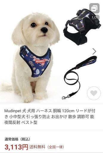 可愛くて丈夫なハーネス♡小型〜中型犬