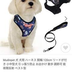 可愛くて丈夫なハーネス♡小型〜中型犬