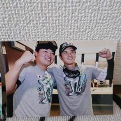 大谷翔平選手 写真5枚の画像