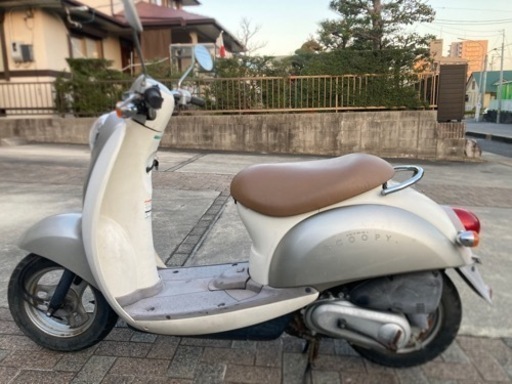 クレア　スクーピー　af55