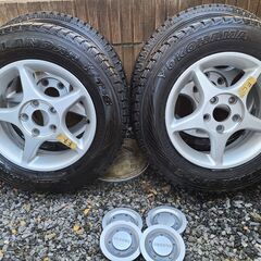 岩松イワヒバ販売中