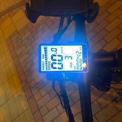 電動自転車 PHILODO 29インチの画像