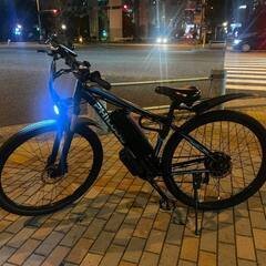 電動自転車 PHILODO 29インチ