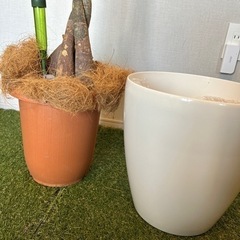植木鉢　ケースの画像
