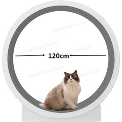 キャットホイール　美品　120cmの画像
