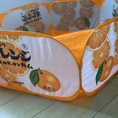 ボールプールの画像