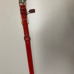 中型犬用　首輪