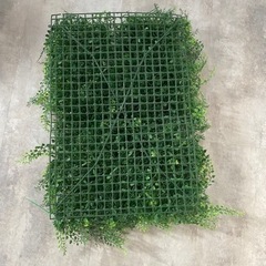 フェイクグリーンの画像